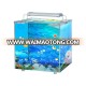 Crystal Glass Mini Aquarium Fish Tank